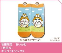 地區限定 秋田限定 襪子 