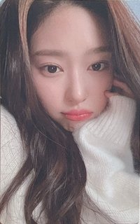 Pro Memoria 周邊卡 寫真隨機小卡