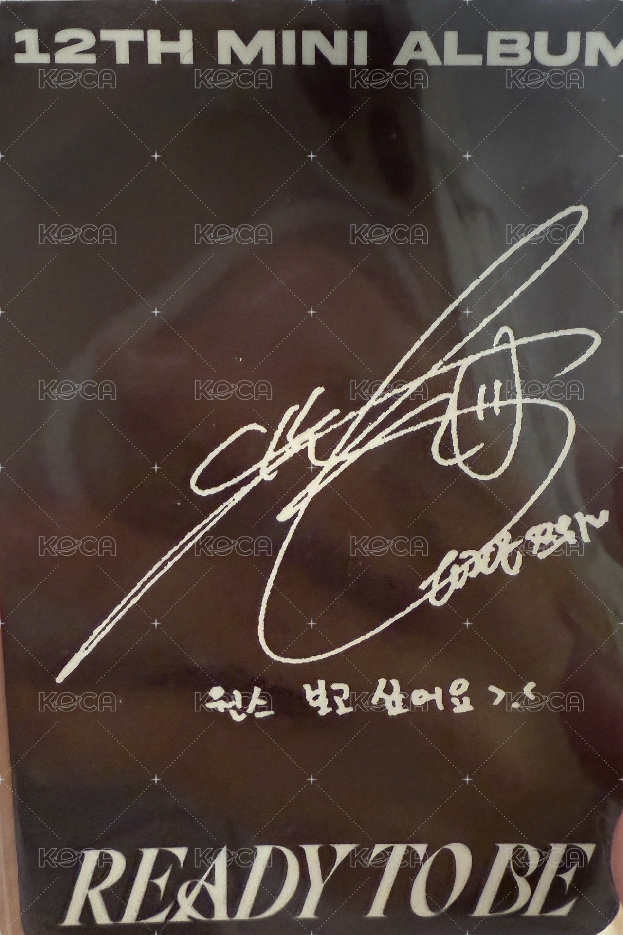 迷12 專輯卡  背面