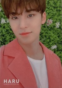 HARU 花牆奎 隨機卡 