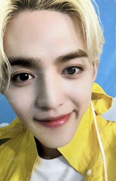 MINI11 專輯卡 ｜CARAT ver.