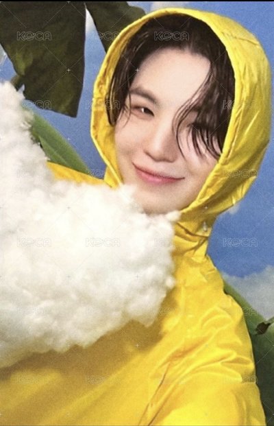 MINI11 專輯卡 ｜CARAT ver.