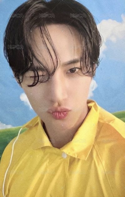 MINI11 專輯卡 ｜CARAT ver.