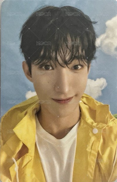 MINI11 專輯卡 ｜CARAT ver.