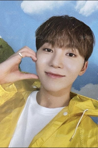 MINI11 專輯卡 ｜CARAT ver.