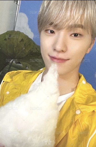 MINI11 專輯卡 ｜CARAT ver.