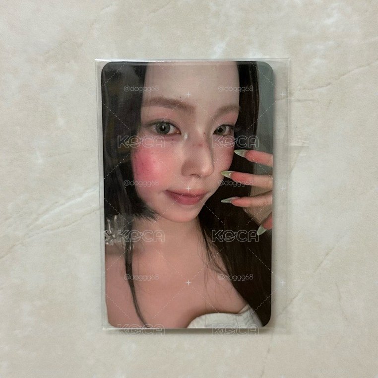 Fans預售特典 圭