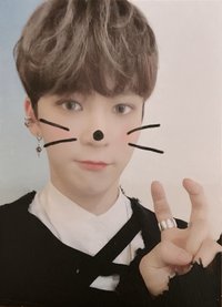 Map the Treasure 入場卡 / 場限卡 ZONE卡