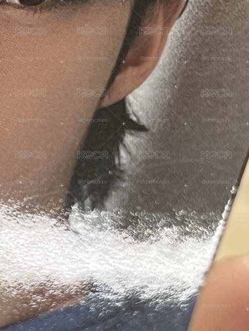 藍莓哲單出
