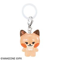 萬代 BANDAI 扭蛋 吊飾 