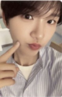 Steady 周邊卡 項鍊卡