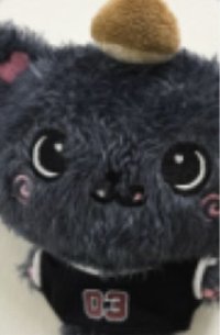 Steady 周邊卡 娃衣卡