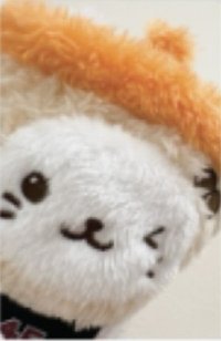 Steady 周邊卡 娃衣卡