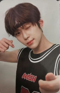 Steady 周邊卡 立牌卡