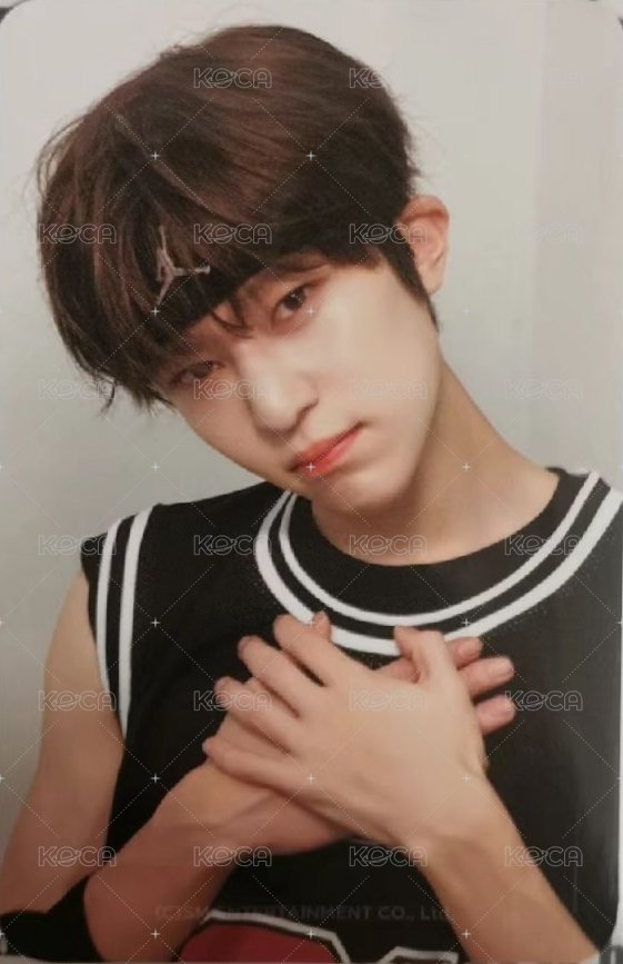 Steady 周邊卡 立牌卡 背面