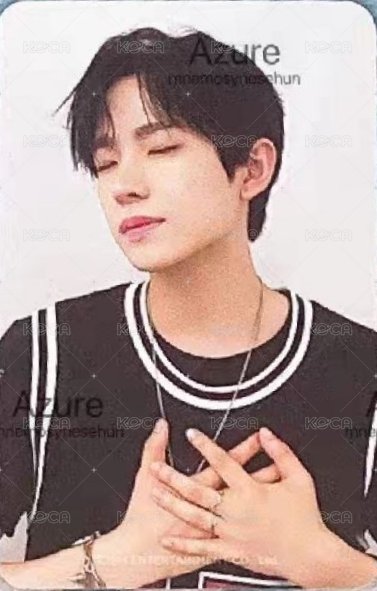 Steady 周邊卡 立牌卡 背面