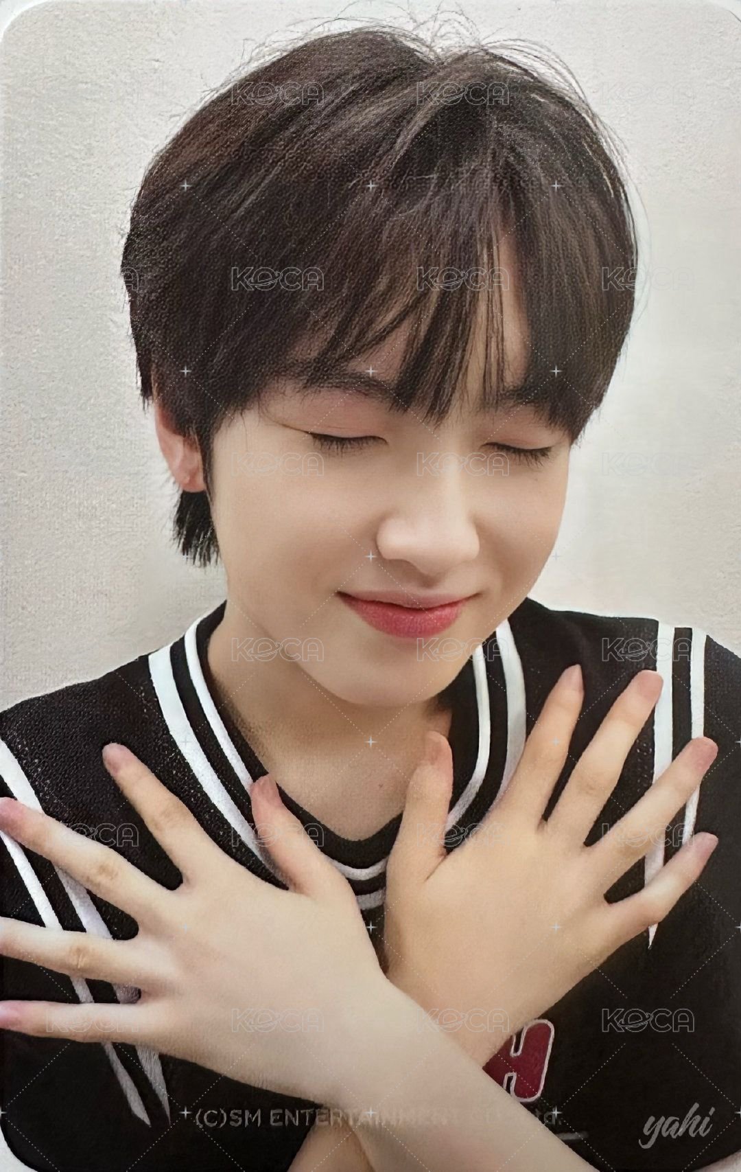 Steady 周邊卡 立牌卡 背面