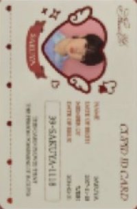 Steady 周邊卡 照片組