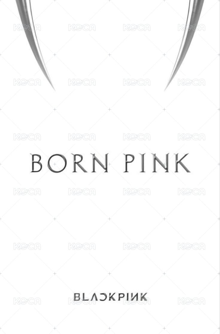 BORN PINK k4 團封 特典卡  背面