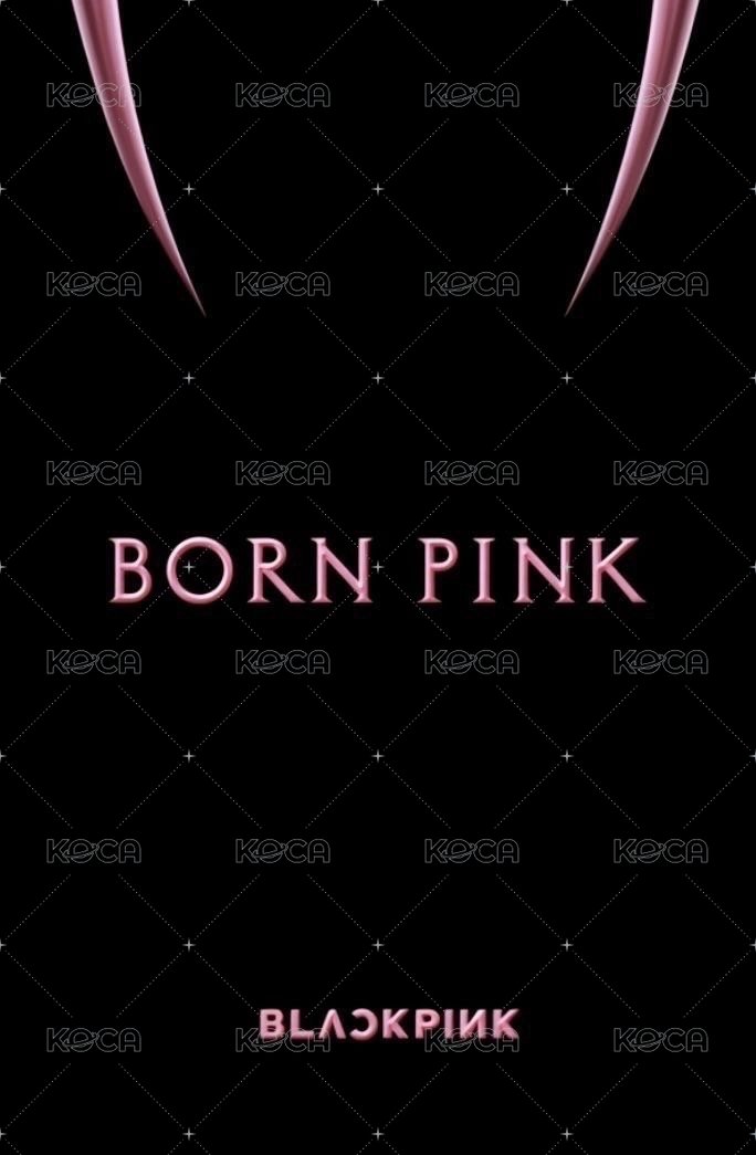BORN PINK k4 單封 特典卡  背面