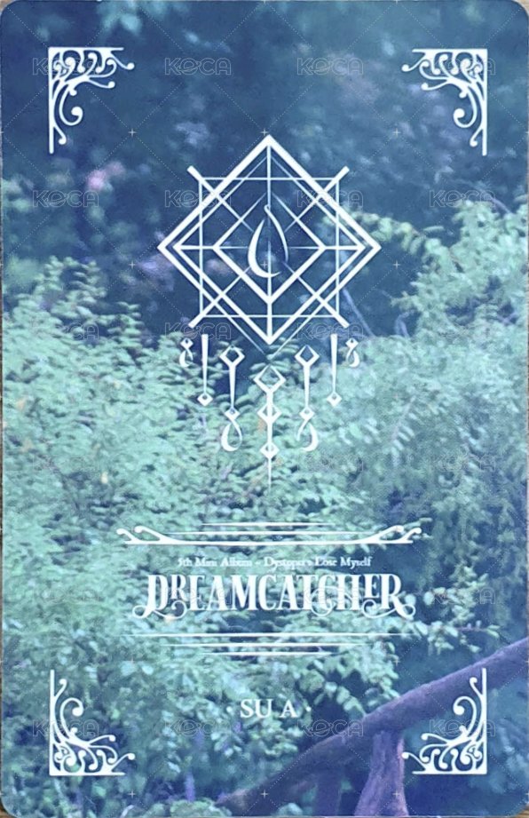 迷你五輯 專輯卡  背面