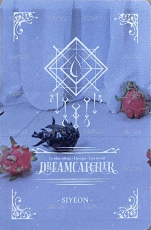 迷你五輯 專輯卡  背面