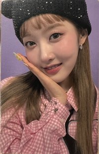 泰迪熊 wvs 特典卡 蒔恩