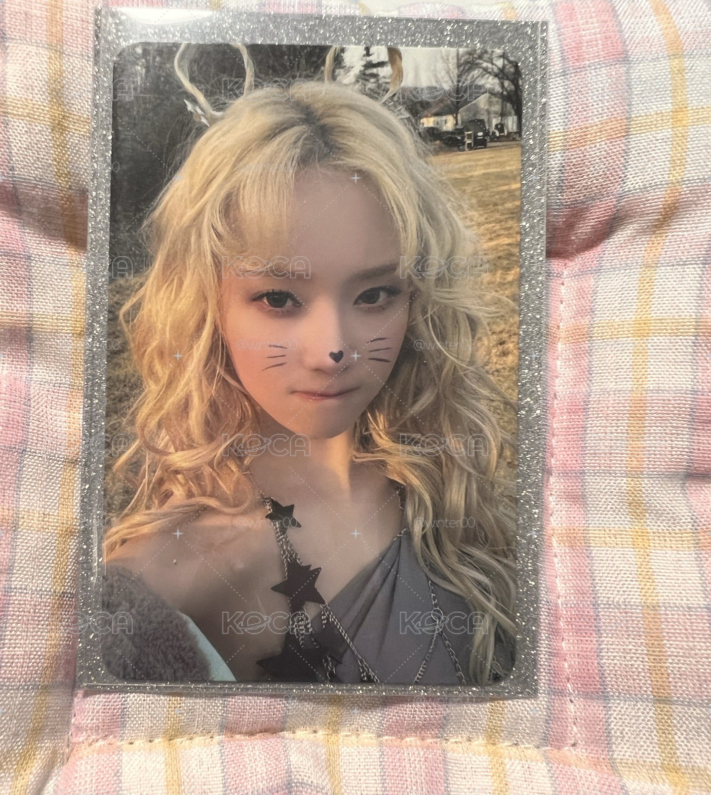 💛貓咪冬