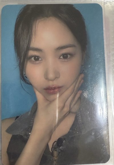 可愛申留真 中文卡背 星河特典 捏捏小貓臉 幸福到永遠