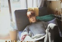 特一 wvs 明信片 