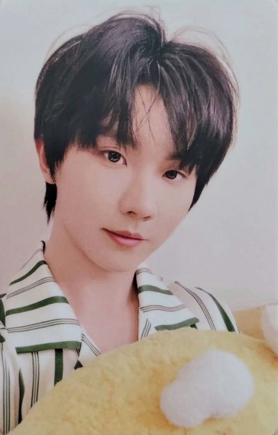 馬嘉祺米爆枕 單人抱枕卡