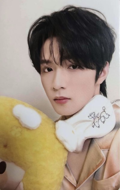 劉耀文米爆枕 單人抱枕卡