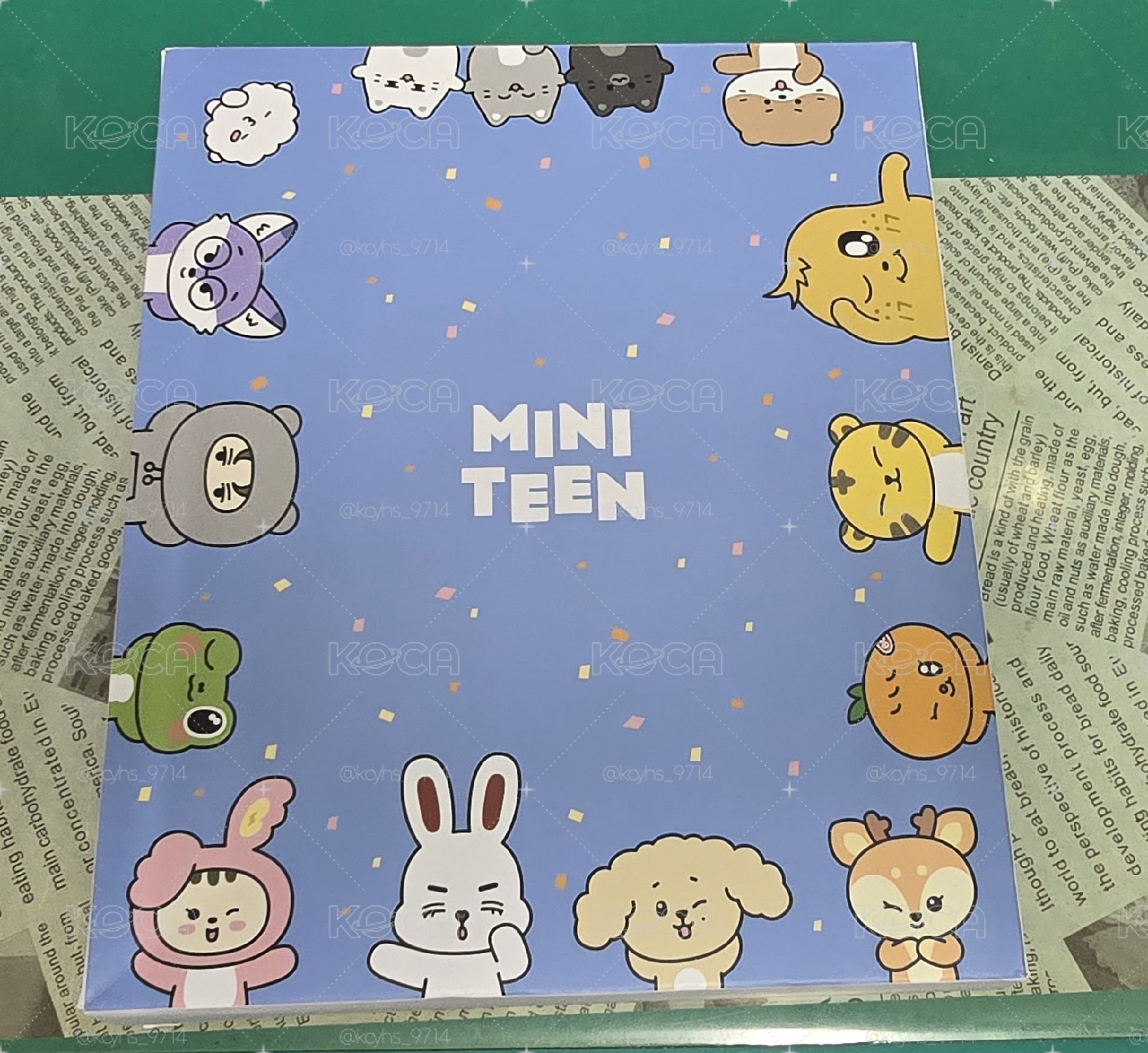 Miniteen 卡冊