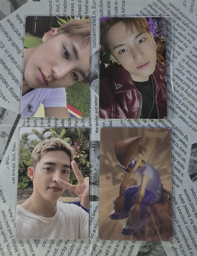 CxM 哲奎小分隊 小卡