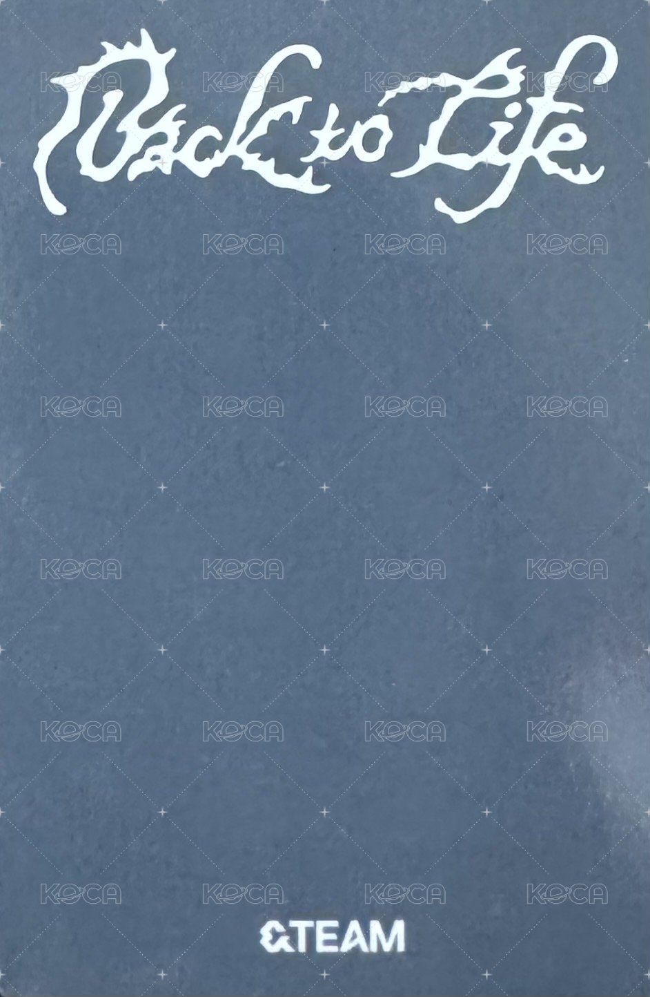 BTL bn 通路 特典卡  背面