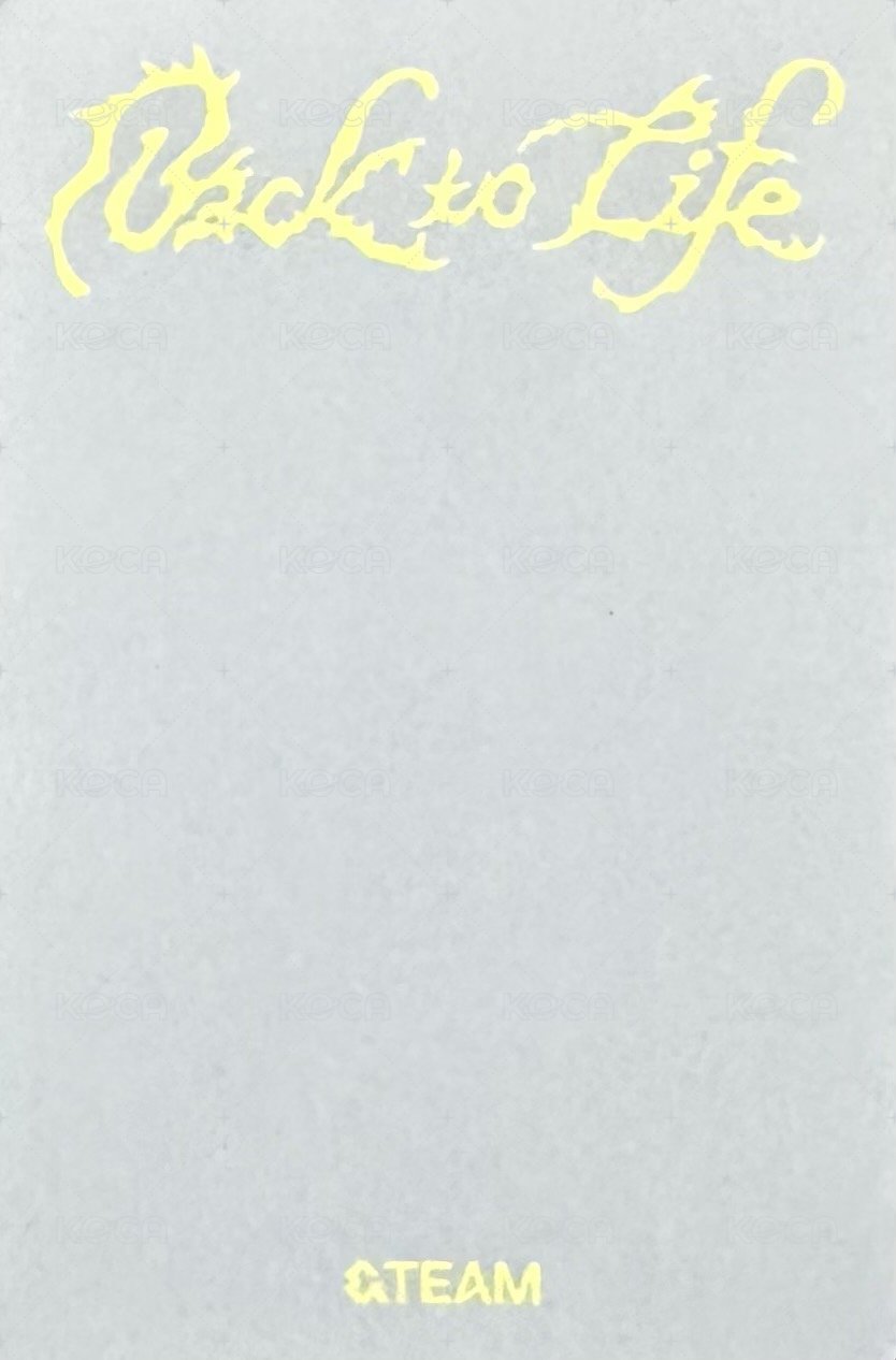 BTL Kpop Nara bn US/EU區 特典卡  背面