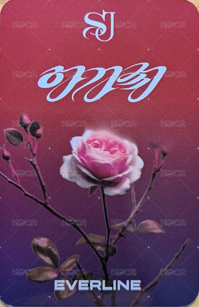 AGASSY el 1.0 特典卡 比七 背面