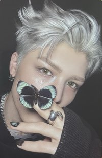 BTL 專輯卡 ROAR ver. B版