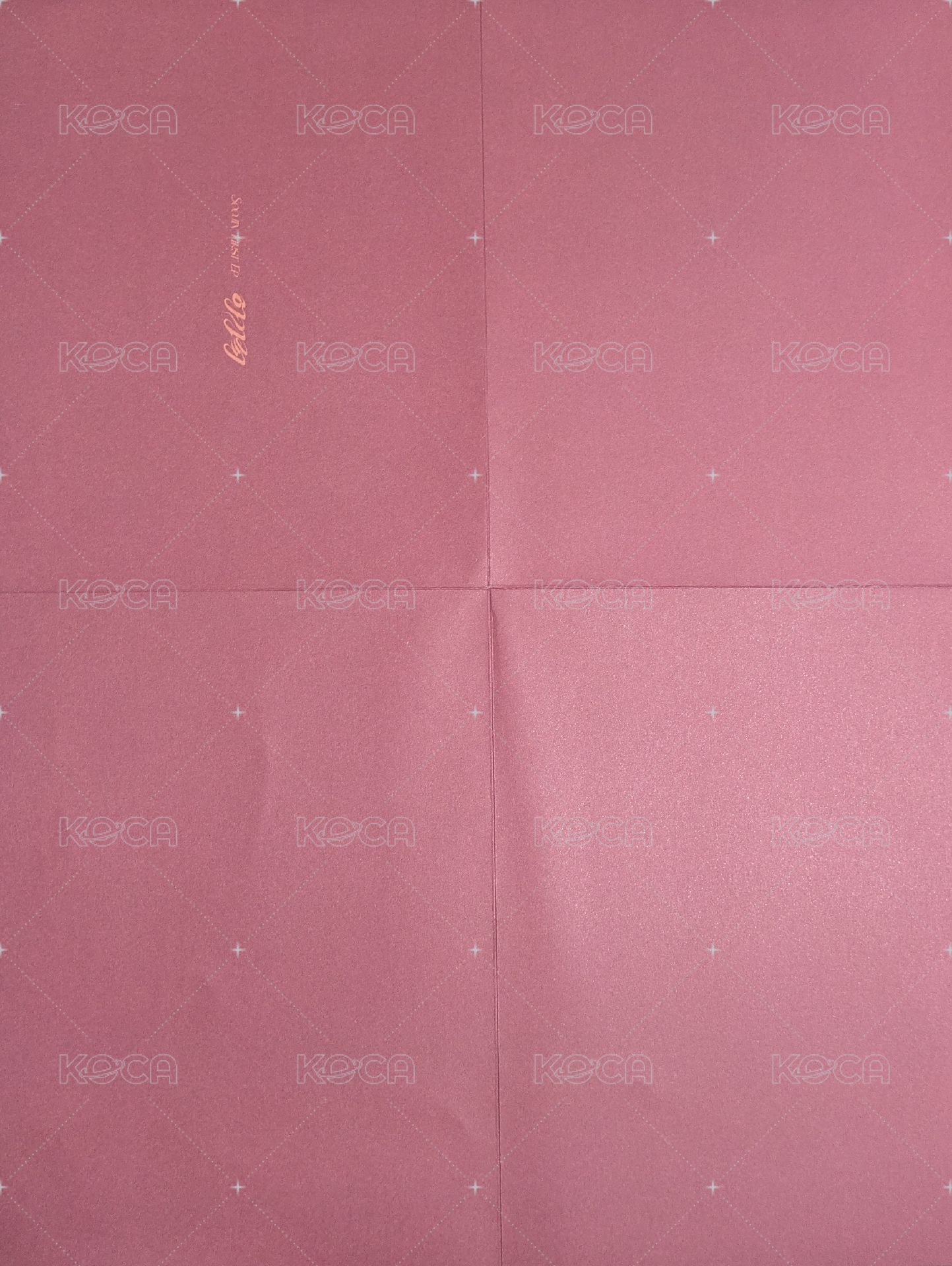 AGASSY 紅版 海報  背面