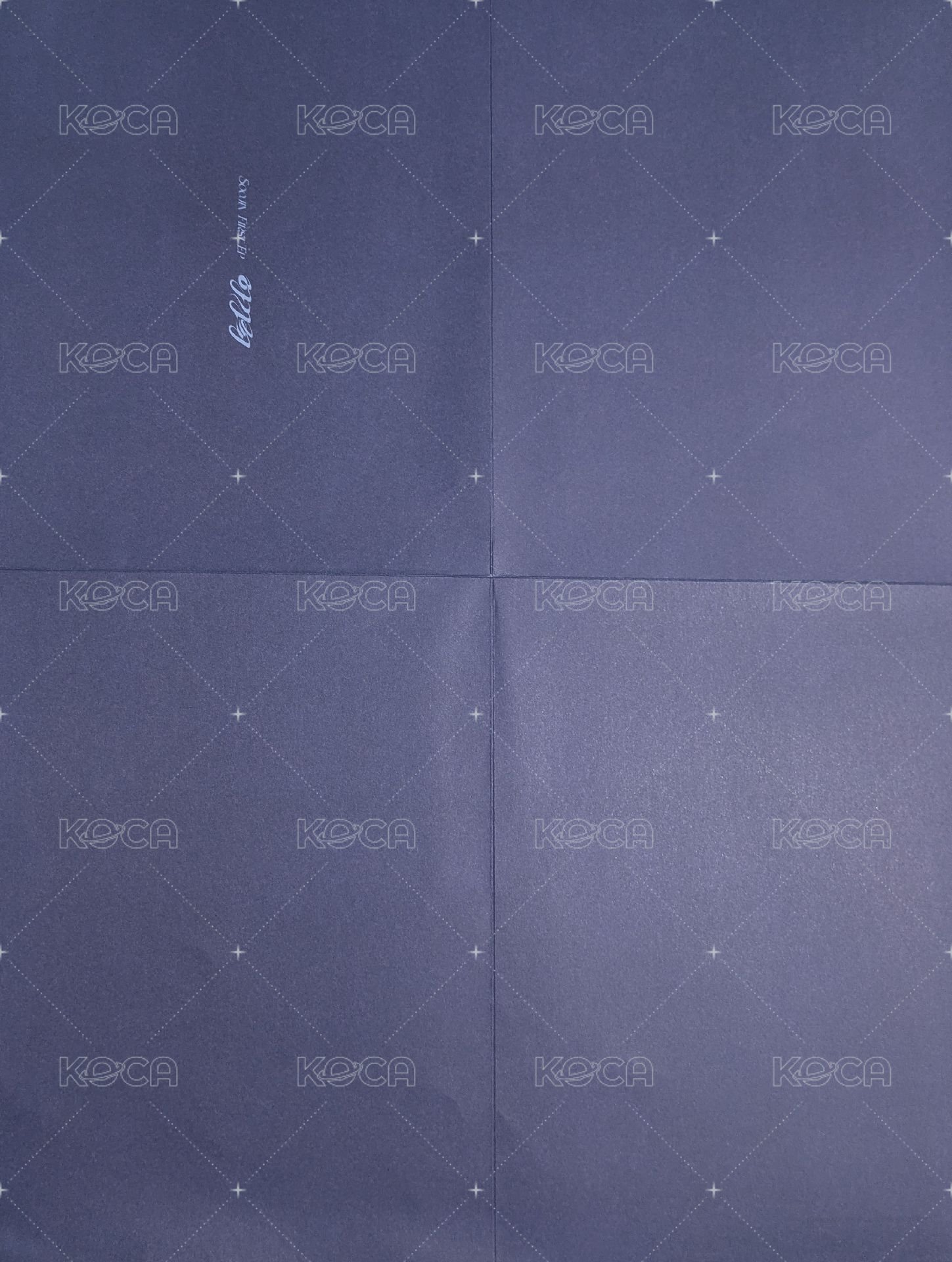 AGASSY 藍版 海報  背面