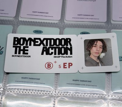 The Action wvs特典