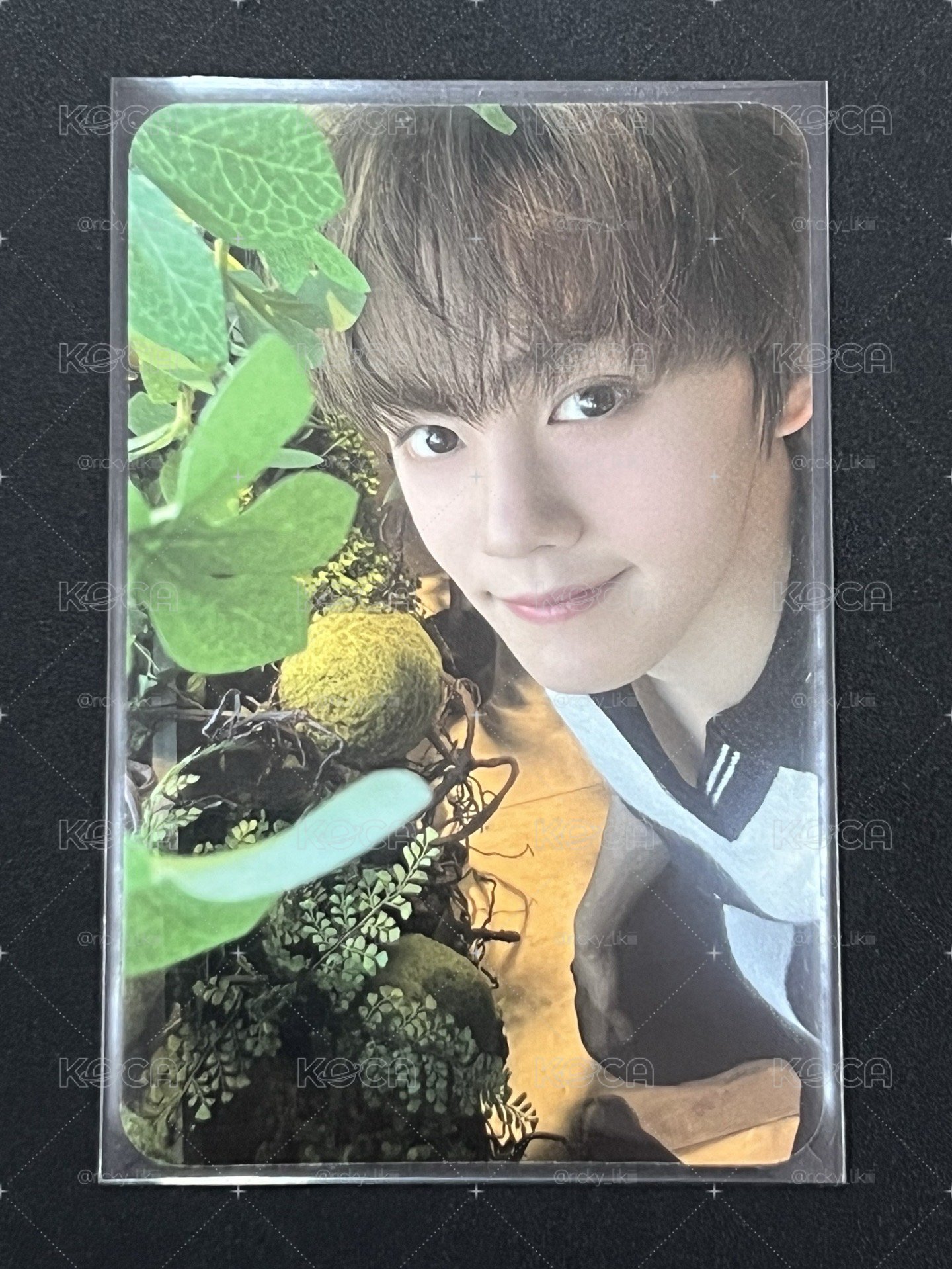 Kim GyuVin世巡TW 電影卡 第一週