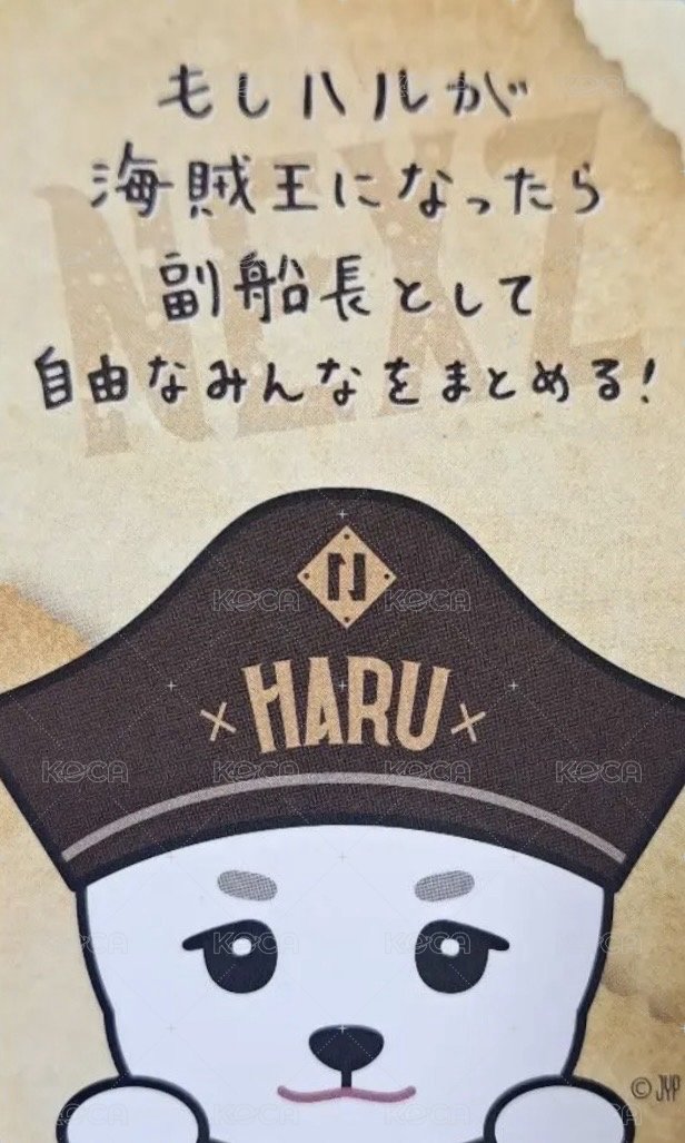 2025 日巡場周 滿額卡 海盜 ver. 背面