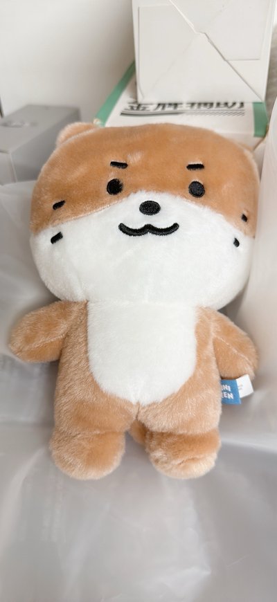 MINI TEEN DINO大娃