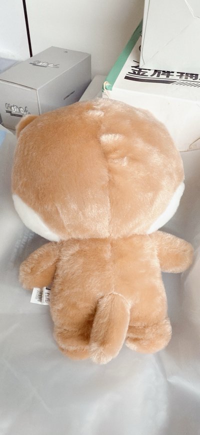 MINI TEEN DINO大娃