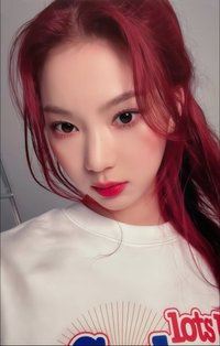 泰迪熊 sr 1.0 特典卡 