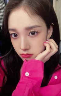 泰迪熊 sr 1.0 特典卡 