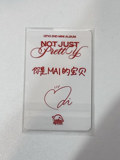 izna 迷二 sr1.0 麥 中文卡背