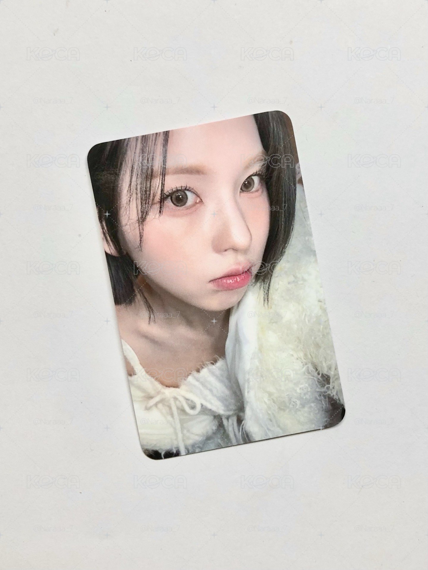 nmixx小卡