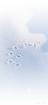 全收請私訊聊聊🌱已被拍走就是沒了